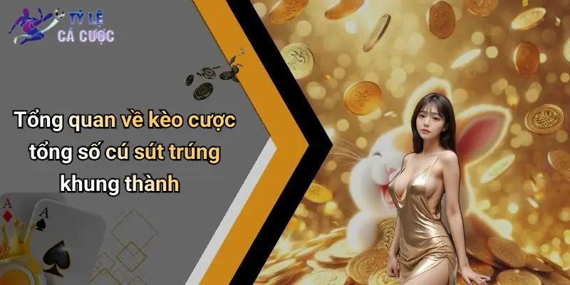 Tổng quan về kèo cược tổng số cú sút trúng khung thành