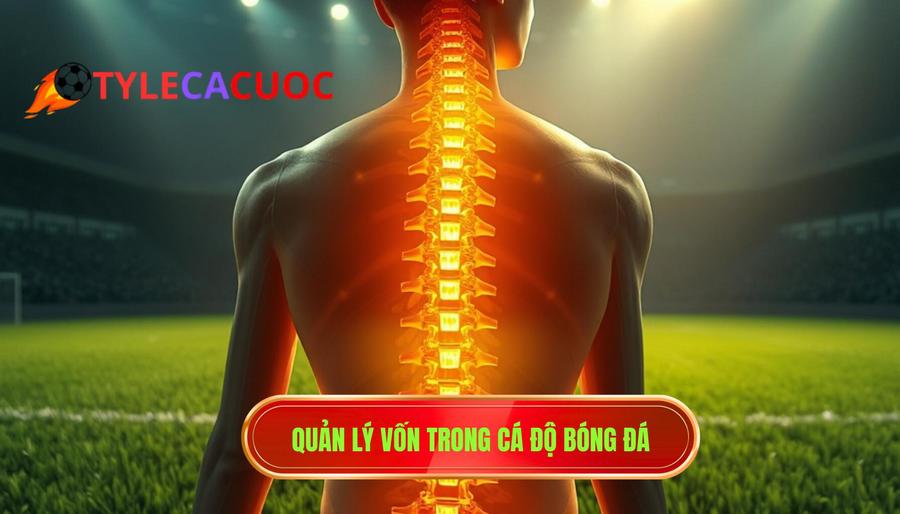 Quản lý vốn - Xương sống của mọi chiến thuật cá độ bóng đá